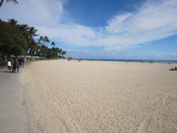 fohawaii 028